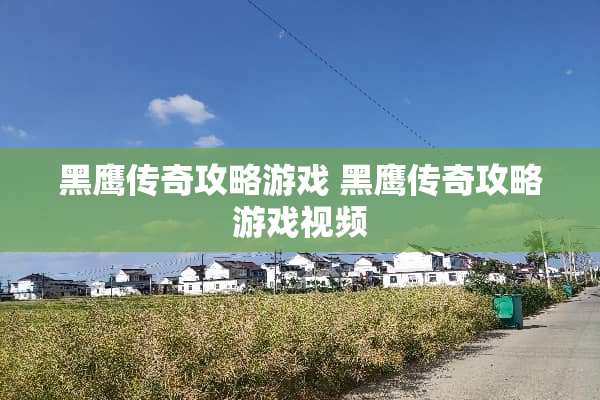 黑鹰传奇攻略游戏 黑鹰传奇攻略游戏视频