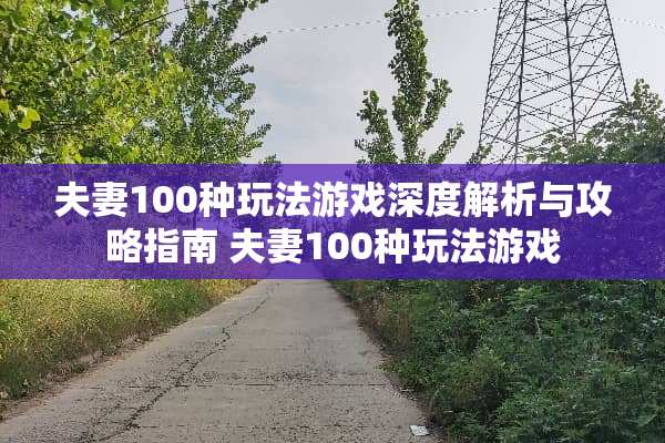 夫妻100种玩法游戏深度解析与攻略指南 夫妻100种玩法游戏