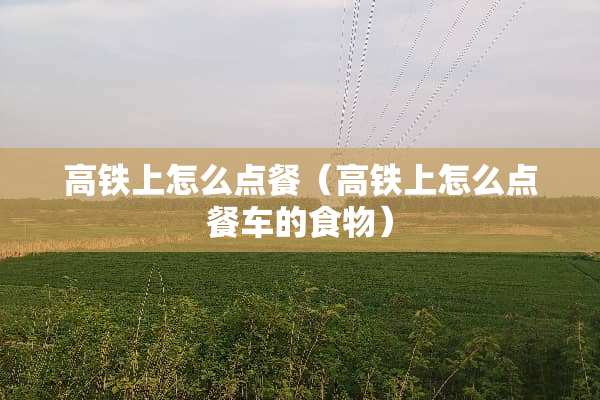 高铁上怎么点餐（高铁上怎么点餐车的食物）