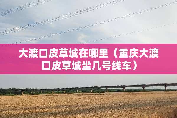 大渡口皮草城在哪里（重庆大渡口皮草城坐几号线车）