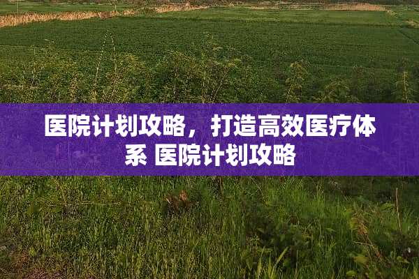 医院计划攻略，打造高效医疗体系 医院计划攻略