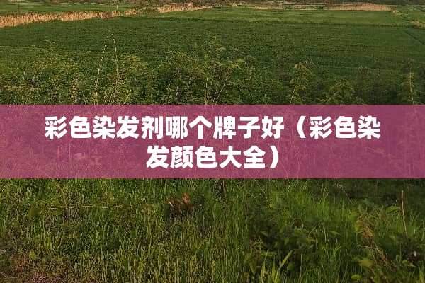 彩色染发剂哪个牌子好（彩色染发颜色大全）