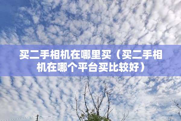 买二手相机在哪里买（买二手相机在哪个平台买比较好）