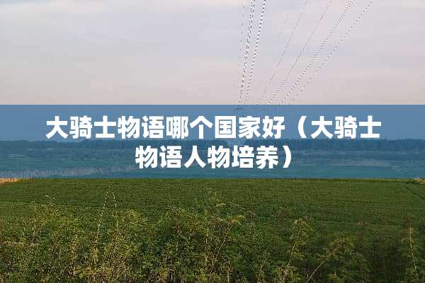 大骑士物语哪个国家好（大骑士物语人物培养）