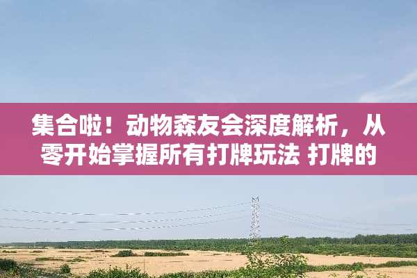 集合啦！动物森友会深度解析，从零开始掌握所有打牌玩法 打牌的所有玩法