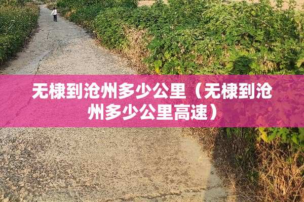 无棣到沧州多少公里（无棣到沧州多少公里高速）