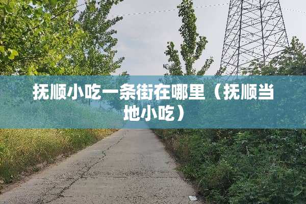 抚顺小吃一条街在哪里（抚顺当地小吃）