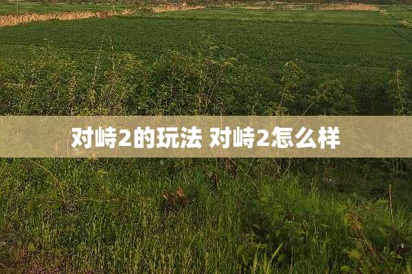 对峙2的玩法 对峙2怎么样