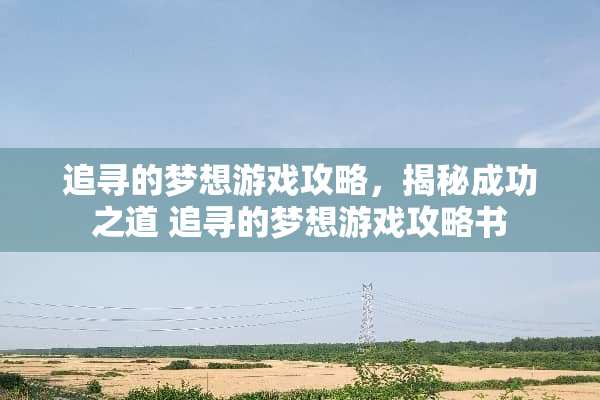 追寻的梦想游戏攻略，揭秘成功之道 追寻的梦想游戏攻略书