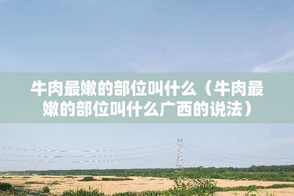 牛肉最嫩的部位叫什么（牛肉最嫩的部位叫什么广西的说法）