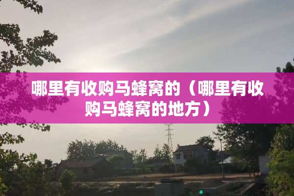 哪里有收购马蜂窝的（哪里有收购马蜂窝的地方）