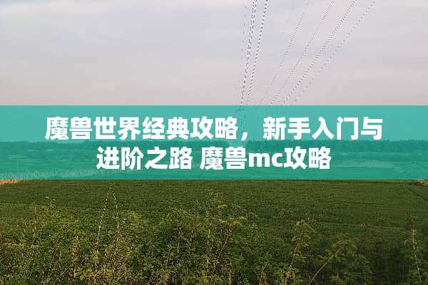 魔兽世界经典攻略，新手入门与进阶之路 魔兽mc攻略