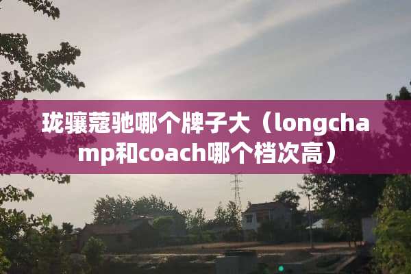 珑骧蔻驰哪个牌子大（longchamp和coach哪个档次高）