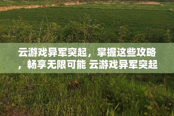 云游戏异军突起，掌握这些攻略，畅享无限可能 云游戏异军突起攻略