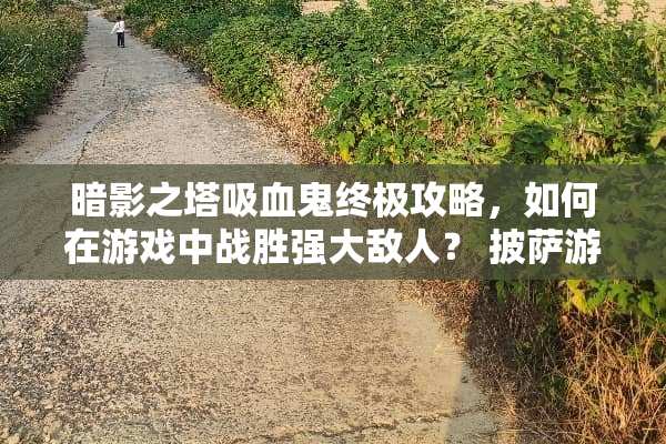 暗影之塔吸血鬼终极攻略，如何在游戏中战胜强大敌人？ 披萨游戏吸血鬼攻略