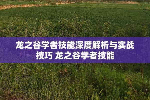 龙之谷学者技能深度解析与实战技巧 龙之谷学者技能