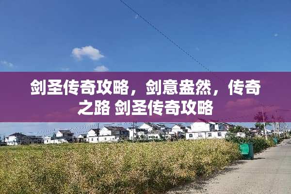 剑圣传奇攻略，剑意盎然，传奇之路 剑圣传奇攻略
