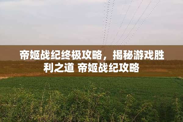 帝姬战纪终极攻略，揭秘游戏胜利之道 帝姬战纪攻略