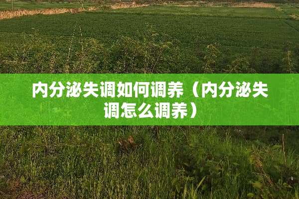 内分泌失调如何调养（内分泌失调怎么调养）