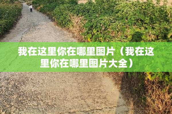 我在这里你在哪里图片（我在这里你在哪里图片大全）