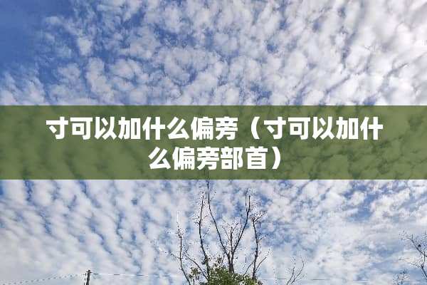 寸可以加什么偏旁（寸可以加什么偏旁部首）