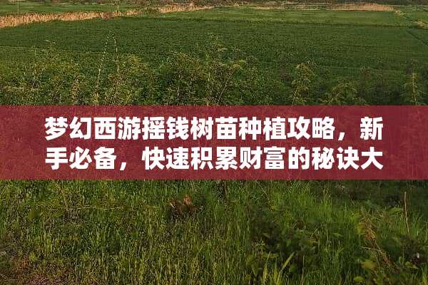 梦幻西游摇钱树苗种植攻略，新手必备，快速积累财富的秘诀大公开！ 梦幻西游摇钱树苗种植攻略
