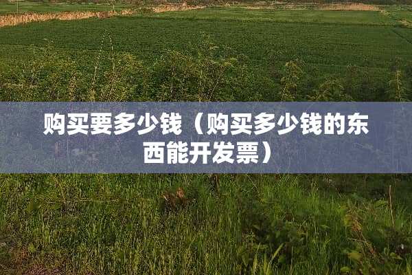 购买要多少钱（购买多少钱的东西能开**）