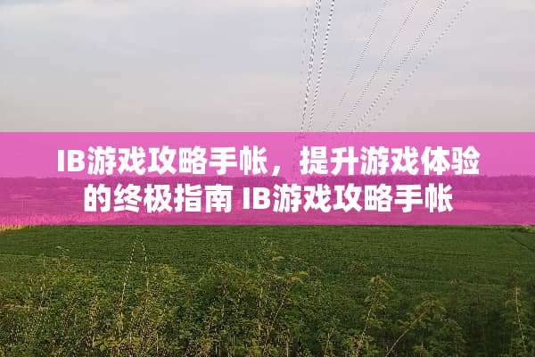 IB游戏攻略手帐，提升游戏体验的终极指南 IB游戏攻略手帐