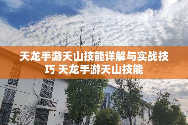 天龙手游天山技能详解与实战技巧 天龙手游天山技能