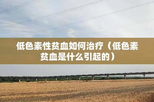 低色素性贫血如何治疗（低色素贫血是什么引起的）