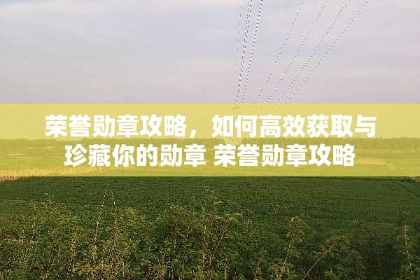 荣誉勋章攻略，如何高效获取与珍藏你的勋章 荣誉勋章攻略