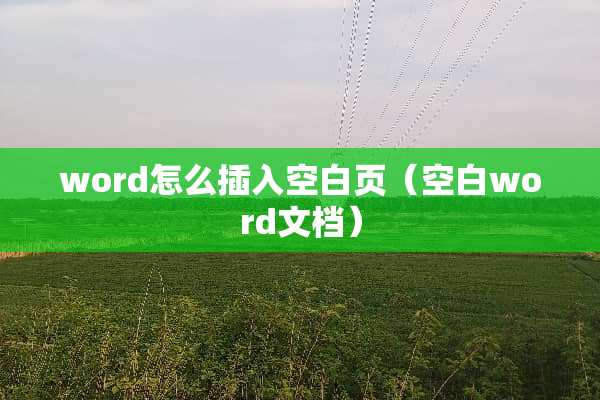 word怎么插入空白页（空白word文档）