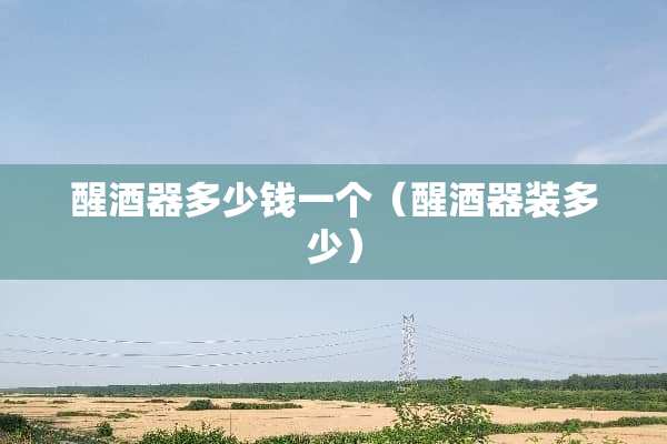 醒酒器多少钱一个（醒酒器装多少）