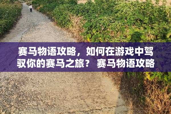 **物语攻略，如何在游戏中驾驭你的**之旅？**物语攻略