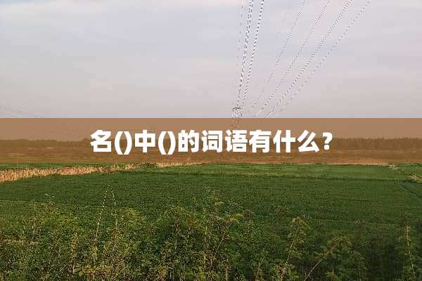 名()中()的词语有什么？