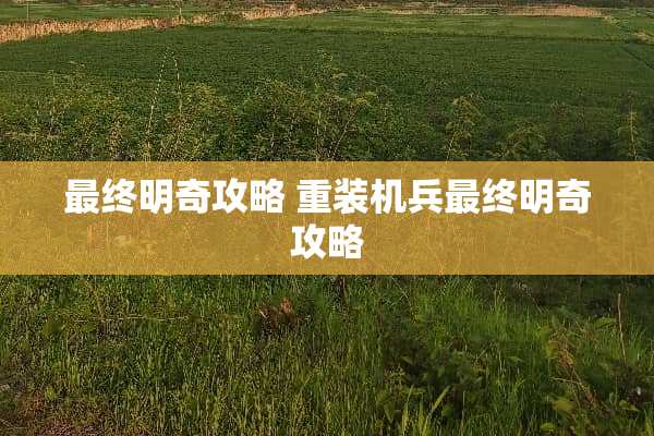 最终明奇攻略 重装机兵最终明奇攻略 最终明奇攻略 重装机兵最终明奇攻略