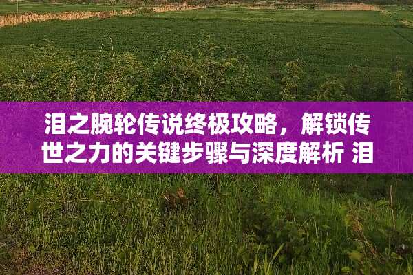 泪之腕轮传说终极攻略，解锁传世之力的关键步骤与深度解析 泪之腕轮传说攻略
