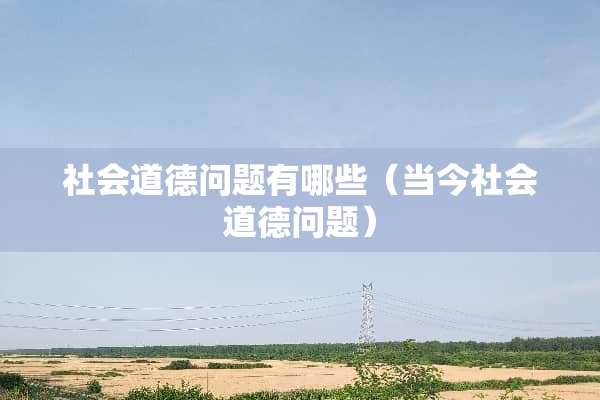 社会道德问题有哪些（当今社会道德问题）