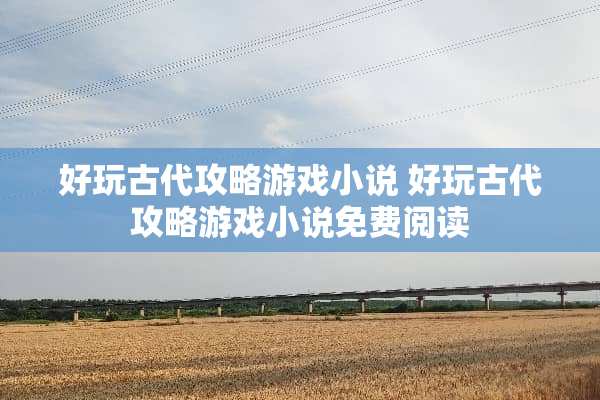 好玩古代攻略游戏小说 好玩古代攻略游戏小说免费阅读