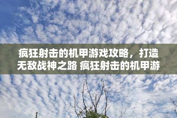 疯狂射击的机甲游戏攻略，打造无敌战神之路 疯狂射击的机甲游戏攻略