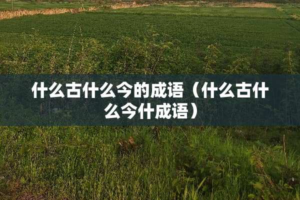 什么古什么今的成语（什么古什么今什成语）