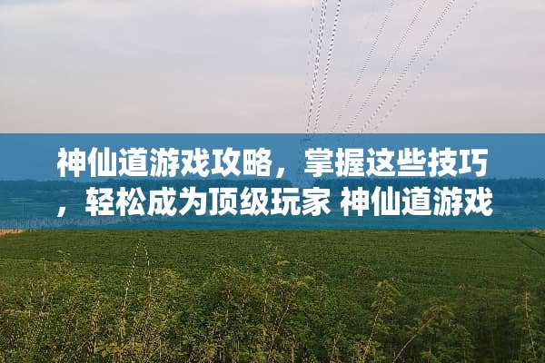 神仙道游戏攻略，掌握这些技巧，轻松成为**玩家 神仙道游戏攻略