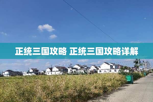 正统三国攻略 正统三国攻略详解