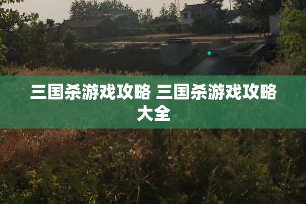 三国杀游戏攻略 三国杀游戏攻略大全