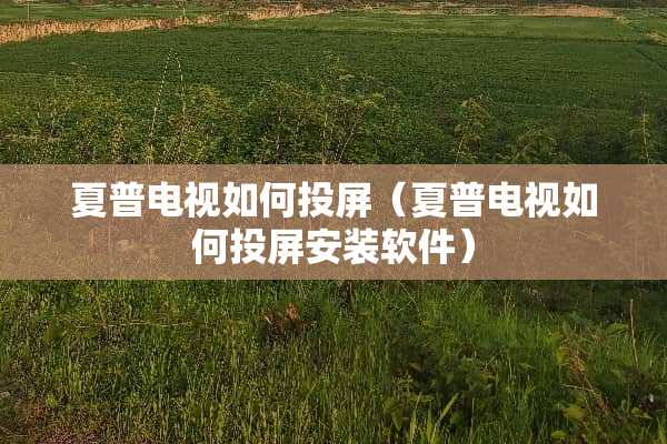 夏普电视如何投屏（夏普电视如何投屏安装软件）