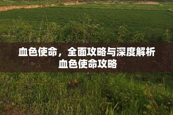 血色使命，全面攻略与深度解析 血色使命攻略