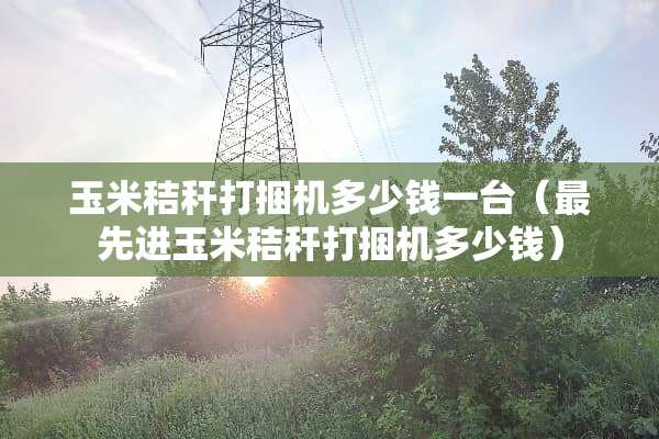 玉米秸秆打捆机多少钱一台（最先进玉米秸秆打捆机多少钱）