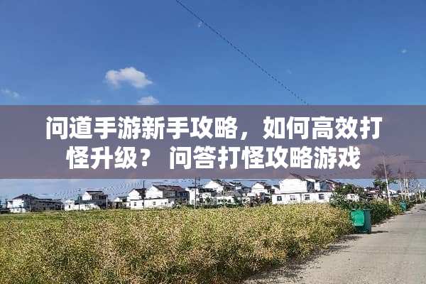 问道手游新手攻略，如何高效打怪升级？ 问答打怪攻略游戏