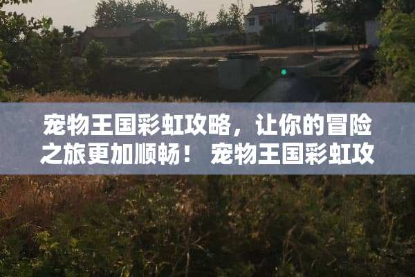 宠物王国彩虹攻略，让你的冒险之旅更加顺畅！ 宠物王国彩虹攻略