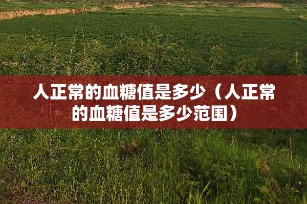 人正常的血糖值是多少（人正常的血糖值是多少范围）